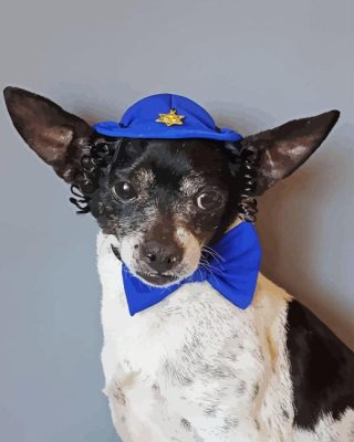 Dog With Blue Hat Paint By Numbers