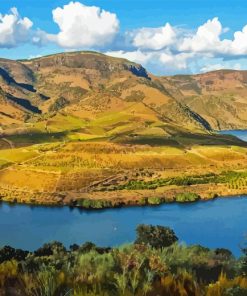 Douro Valley Paint By Numbers