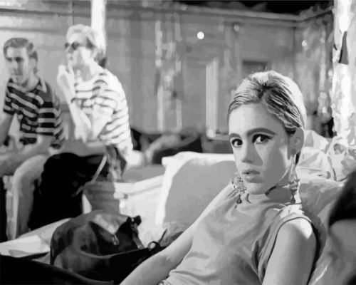 Edie Sedgwick Paint By Numbers