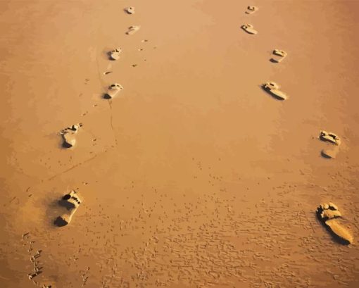 Footprints In Sand Paint By Numbers