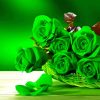 Green Roses Paint By Numbers