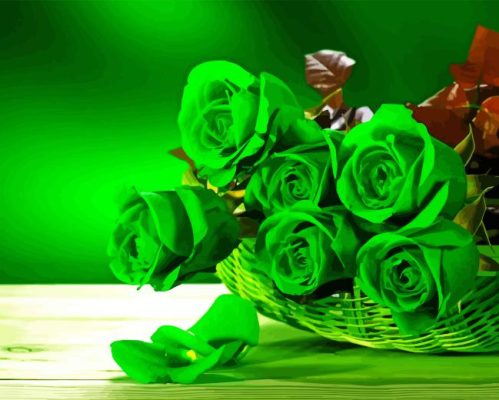 Green Roses Paint By Numbers