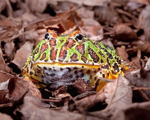 Horned Frog Paint By Numbers