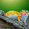 Leopard Gecko Paint By Numbers