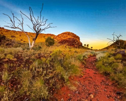 Pilbara Paint By Numbers