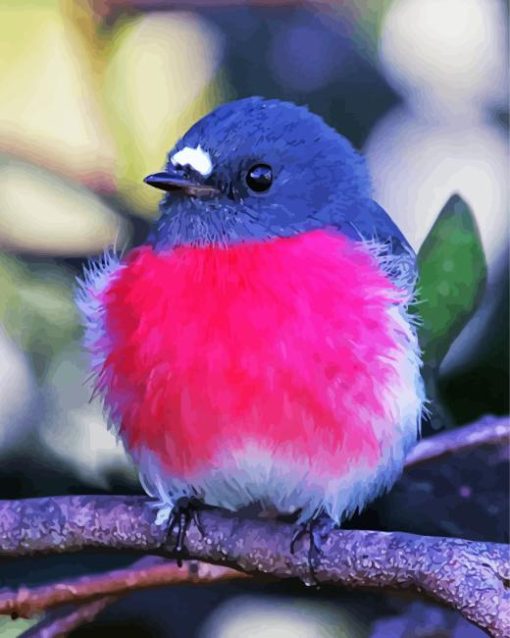 Pink Robin Bird Paint By Numbers