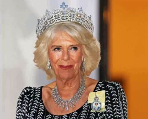 Queen Camilla Paint By Numbers