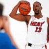 Bam Adebayo Paint By Numbers
