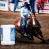 Barrel Racer Paint By Numbers