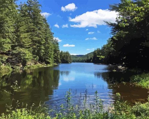 Brant Lake Paint By Numbers