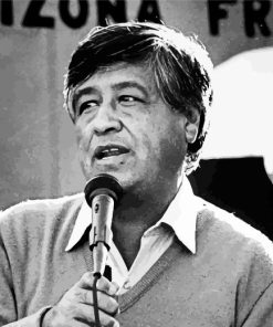 Cesar Chavez Paint By Numbers