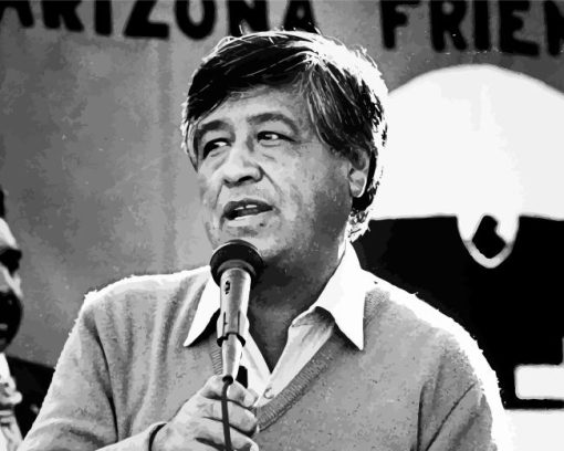 Cesar Chavez Paint By Numbers