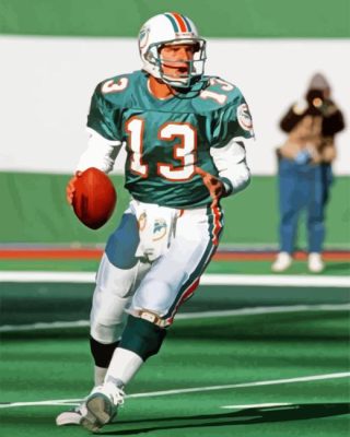 Dan Marino Paint By Numbers