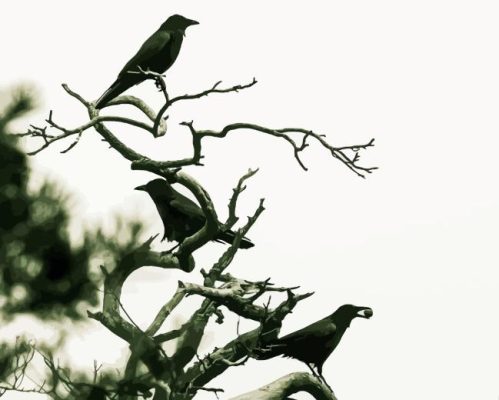 Dead Tree and Raven Paint By Numbers