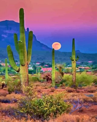 Desert With Cactus Paint By Numbers