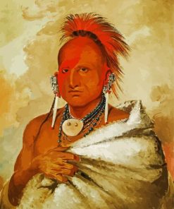 George Catlin Paint By Numbers