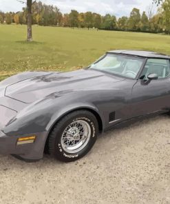 Grey 1981 Corvette Paint By Numbers
