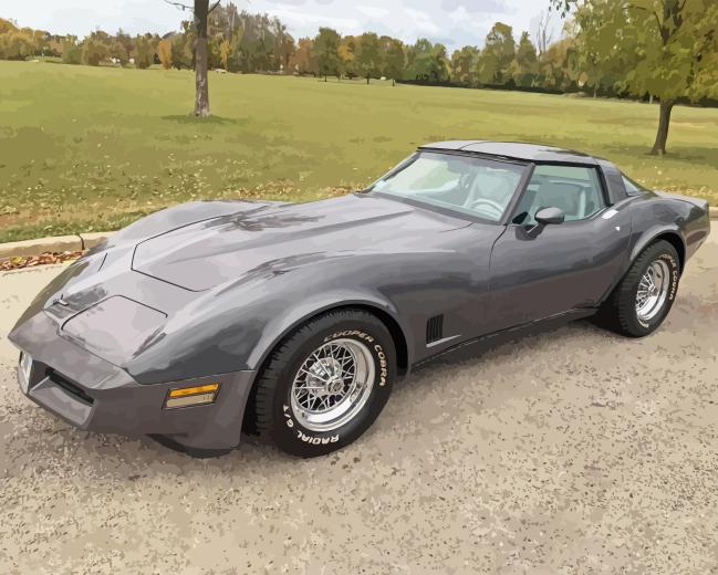 Grey 1981 Corvette Paint By Numbers