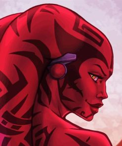 Lady Darth Talon Paint By Numbers