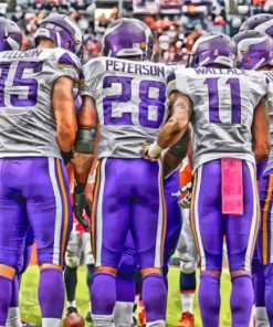 Minnesota Vikings Team Paint By Numbers