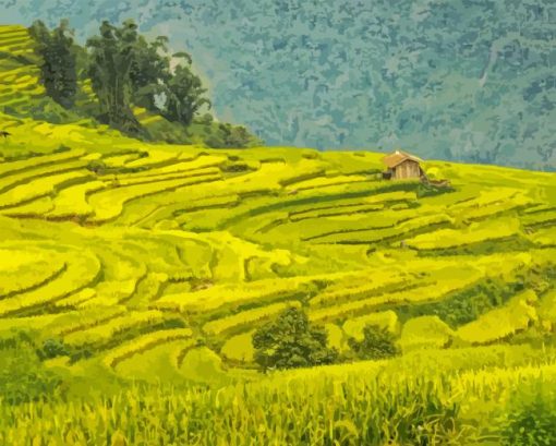 Rice Fields Paint By Numbers