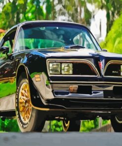 1977 Firebird Paint By Numbers