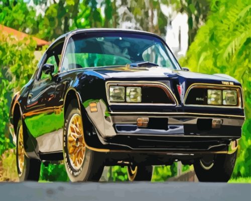 1977 Firebird Paint By Numbers