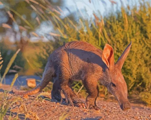 Aardvark Animal Paint By Numbers