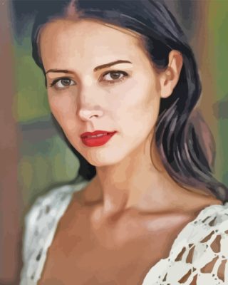 Amy Acker Paint By Numbers