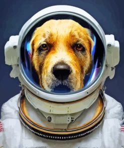 Animal Dog Astronaut Paint By Numbers