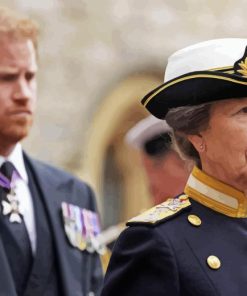 Anne Princess Royal Paint By Numbers