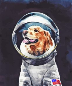 Astronaut Dog Paint By Numbers