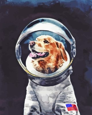 Astronaut Dog Paint By Numbers