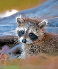 Baby Raccoon Paint By Numbers