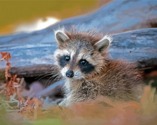 Baby Raccoon Paint By Numbers