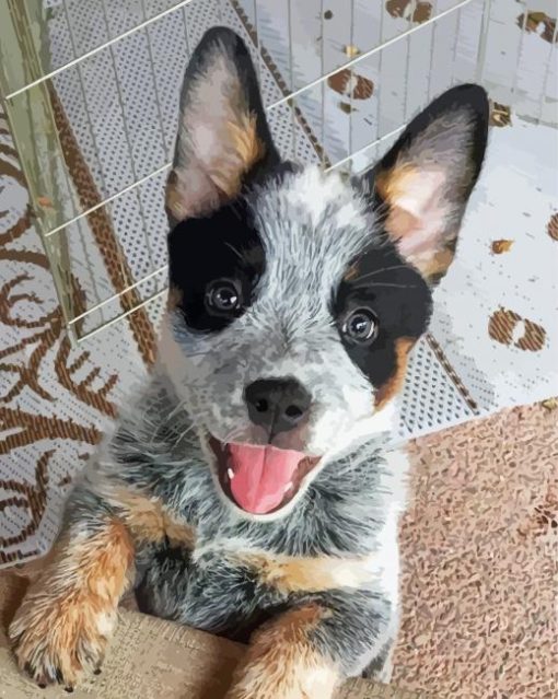 Baby Texas Heeler Paint By Numbers