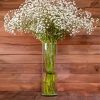 Babys Breath Gypsophila Paint By Numbers