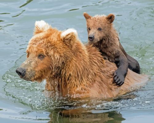 Bear And Cub In Water Paint By Numbers