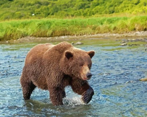 Bear Walking In Water Paint By Numbers