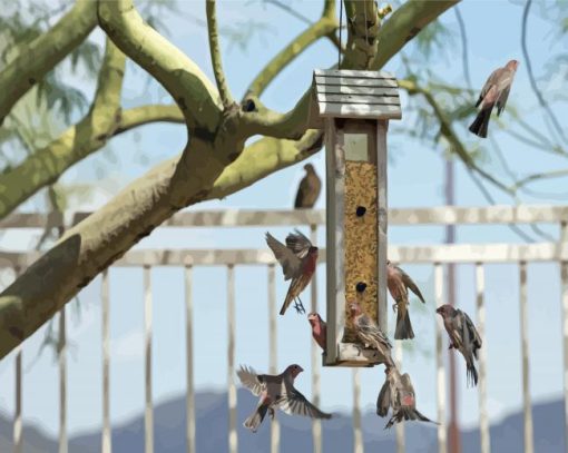 Birds At Bird Feeder Paint By Numbers
