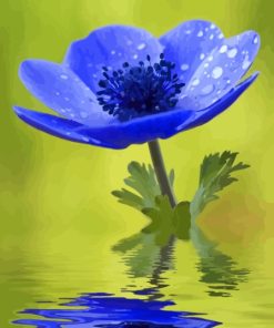 Blue Anemone Paint By Numbers