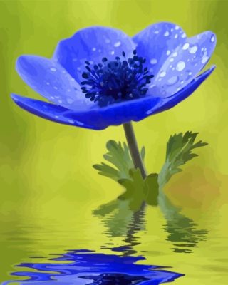 Blue Anemone Paint By Numbers