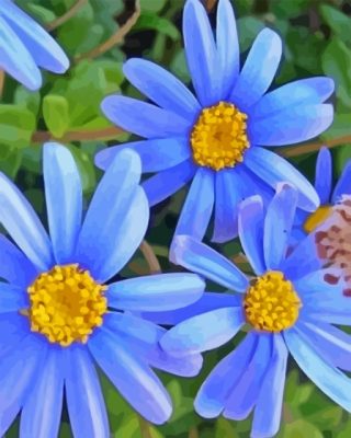 Blue Daisy Paint By Numbers