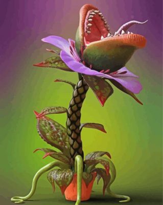 Carnivorous Plant Paint By Numbers