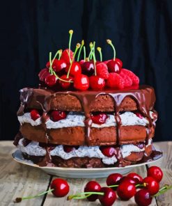 Cherry Cake Paint By Numbers