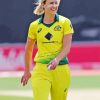 Ellyse Perry Paint By Numbers