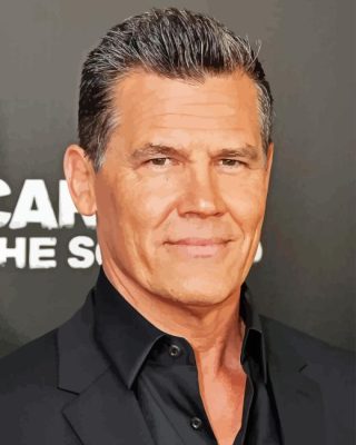 Josh Brolin Paint By Numbers