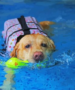 Labrador Swimming Paint By Numbers