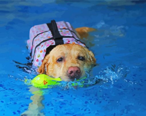 Labrador Swimming Paint By Numbers