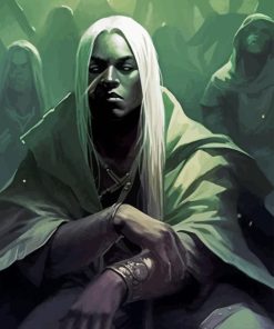 Mad Drizzt Paint By Numbers